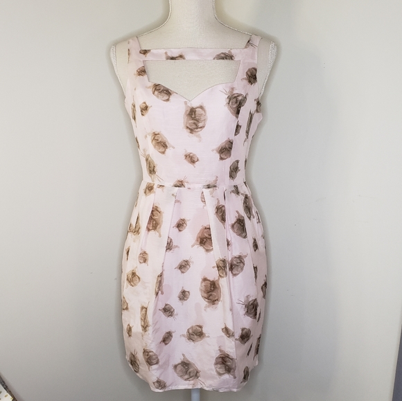 BB Dakota Dresses & Skirts - BB Dakota floral dress size 4